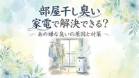 部屋干し 臭い 家電で解決できる？あの嫌な臭いの原因と対策