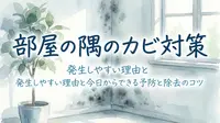 部屋の隅のカビ対策|発生しやすい理由と今日からできる予防と除去のコツ