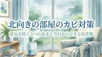 北向きの部屋のカビ対策｜湿気を防ぐ3つの基本と今日からできる改善策