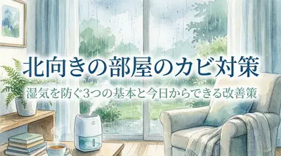北向きの部屋のカビ対策｜湿気を防ぐ3つの基本と今日からできる改善策