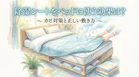 除湿シートをベッドに使う効果は?カビ対策と正しい敷き方
