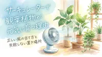 サーキュレーターで観葉植物が元気に育つ理由｜正しい風の当て方と失敗しない置き場所
