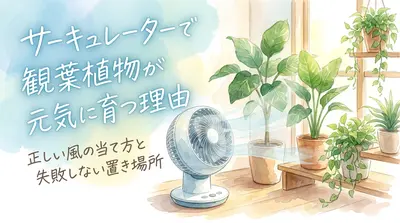 サーキュレーターで観葉植物が元気に育つ理由｜正しい風の当て方と失敗しない置き場所