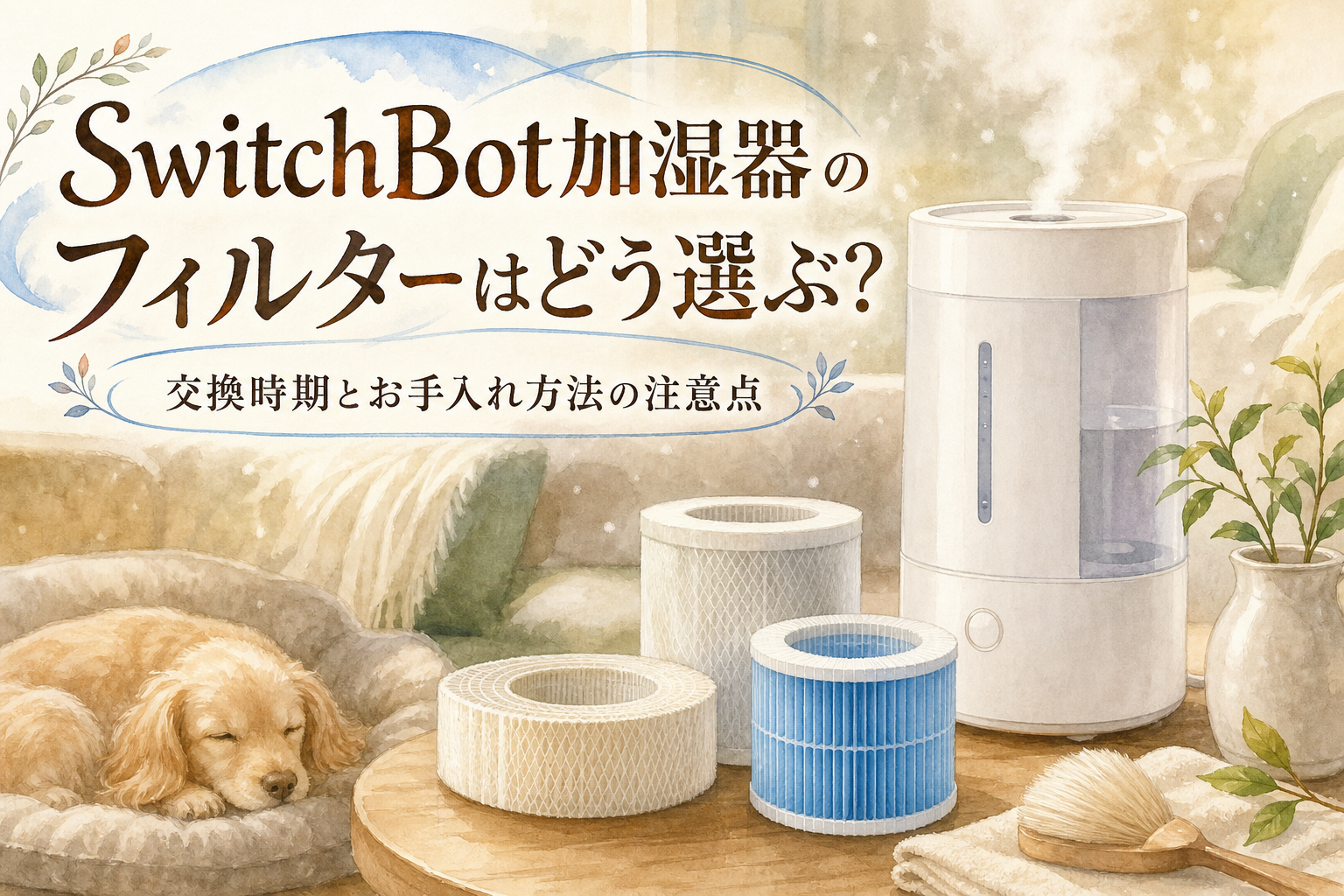 SwitchBot加湿器のフィルターはどう選ぶ?交換時期とお手入れ方法の注意点