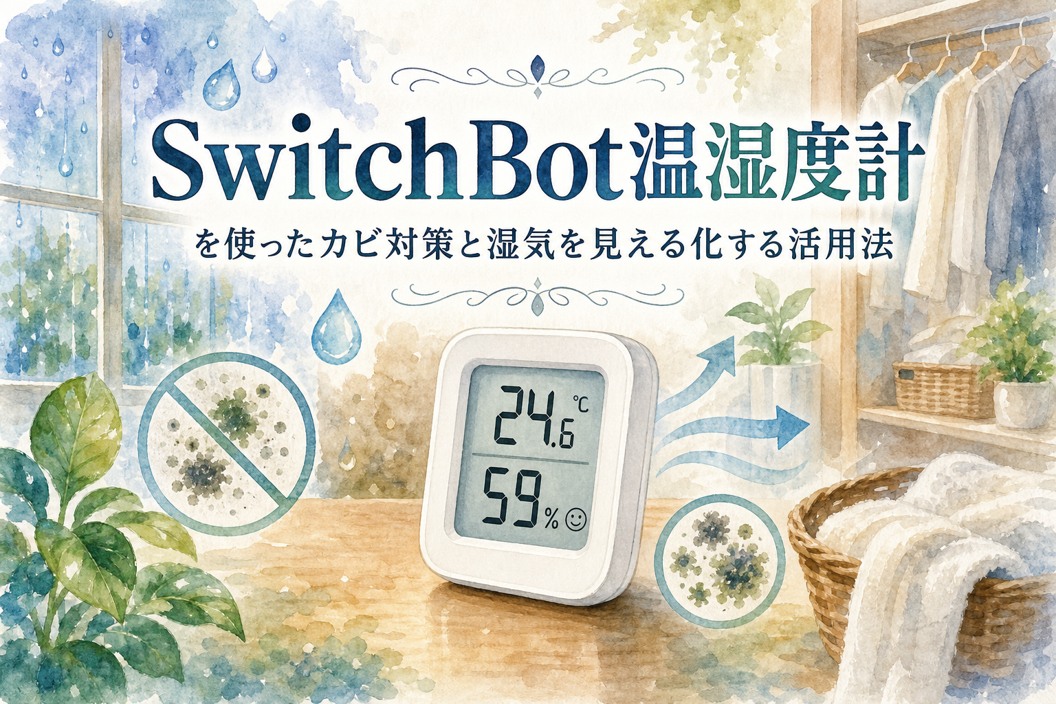 SwitchBot温湿度計を使ったカビ対策と湿気を見える化する活用法