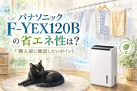 パナソニックF-YEX120Bの省エネ性は？購入前に確認したいポイント