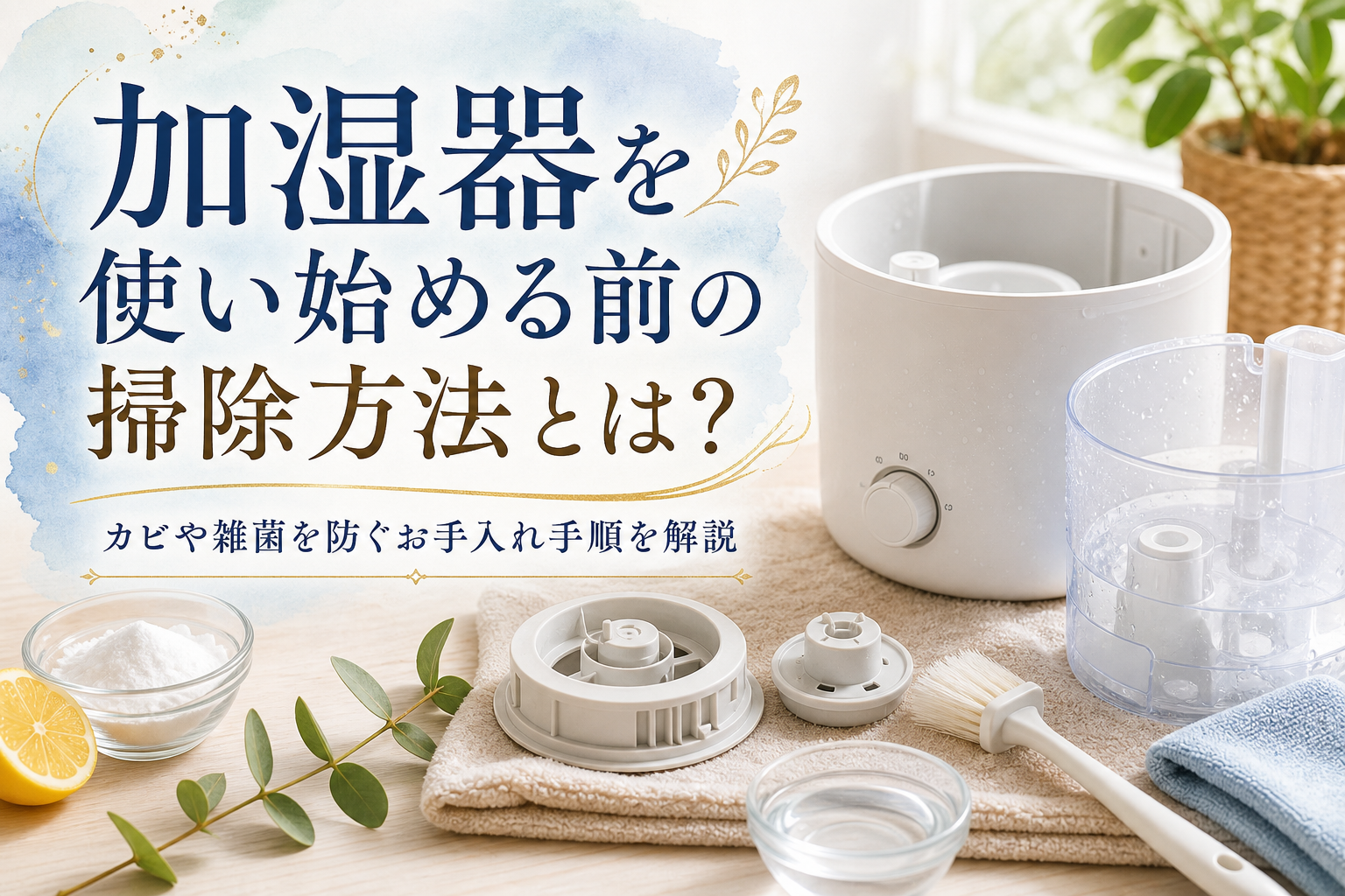 加湿器を使い始める前の掃除方法とは?カビや雑菌を防ぐお手入れ手順を解説