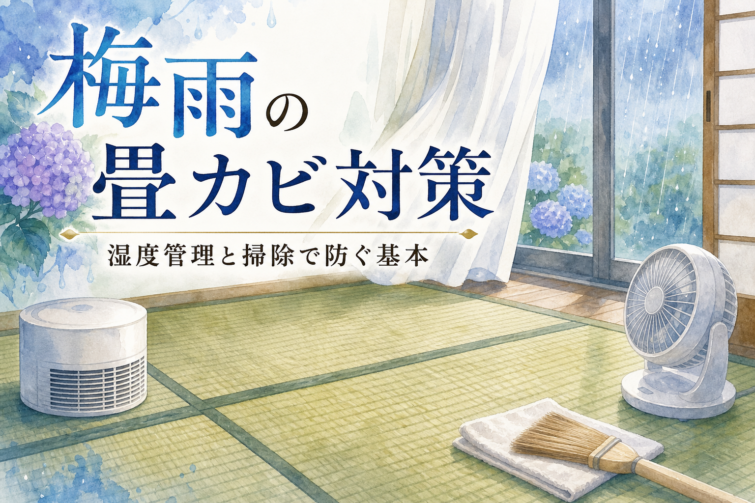 梅雨の畳カビ対策|湿度管理と掃除で防ぐ基本