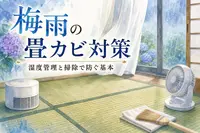 梅雨の畳カビ対策｜湿度管理と掃除で防ぐ基本