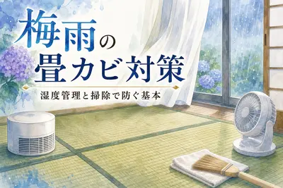 梅雨の畳カビ対策｜湿度管理と掃除で防ぐ基本