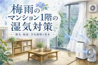 梅雨のマンション1階の湿気対策｜換気・除湿・空気循環の基本